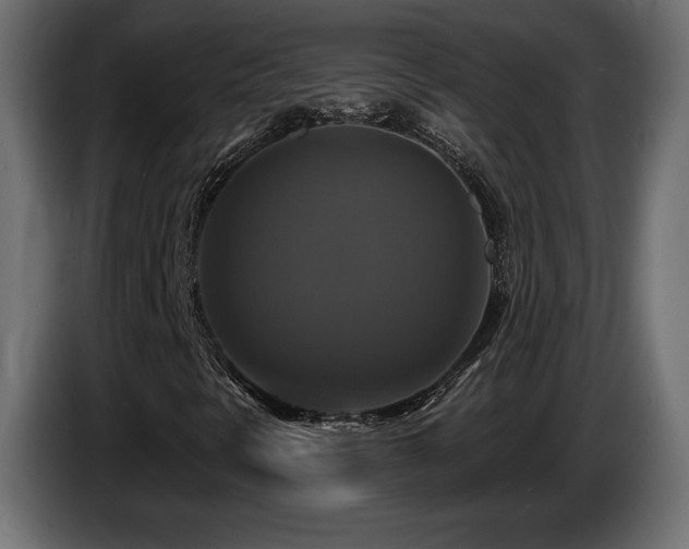 X0000086731297200704131057