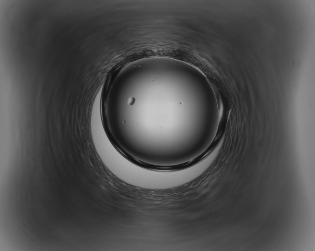 X0000086731298200704131057