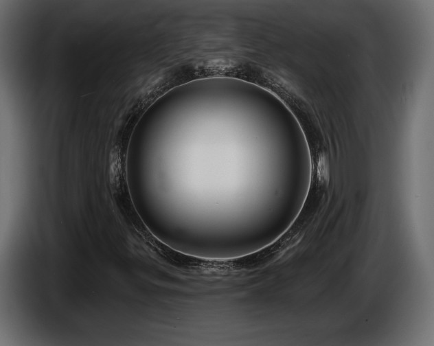 X0000086731299200704131057