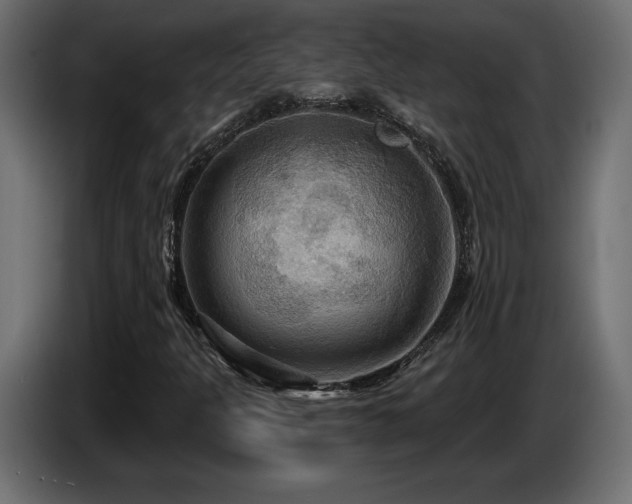X0000086731301200704131057