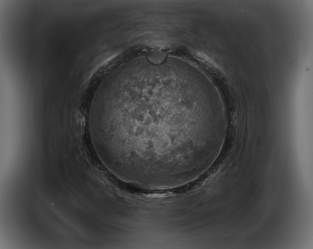 X0000086731302200704131057
