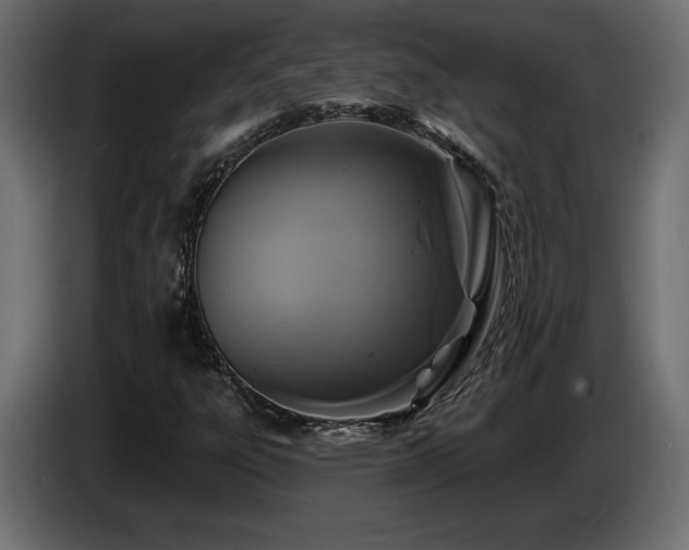 X0000086731303200704131057
