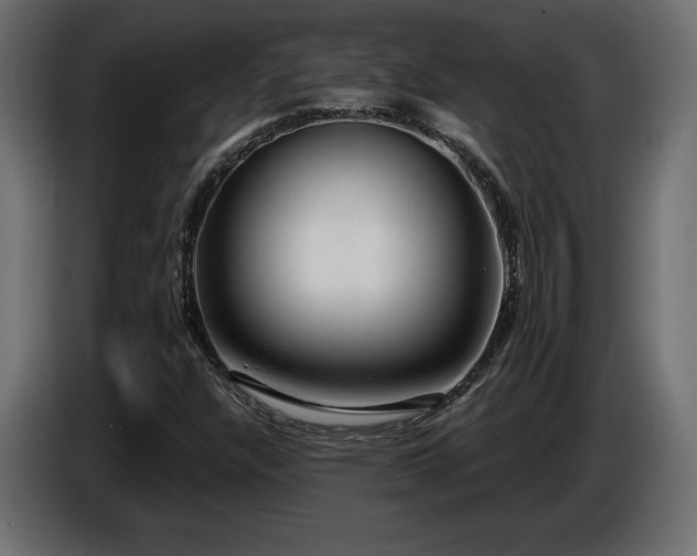 X0000086731304200704131057