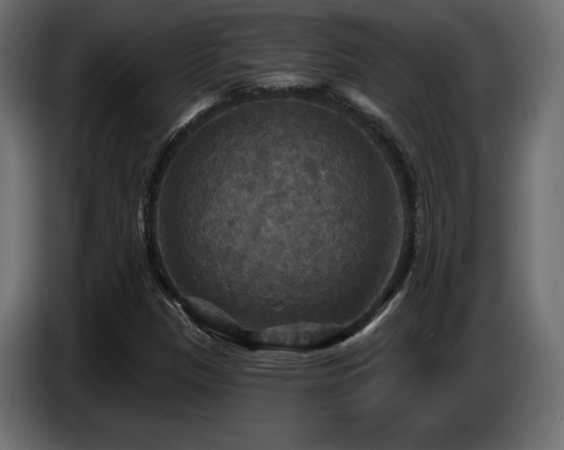 X0000086731305200704131057