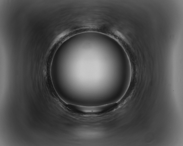 X0000086731307200704131057