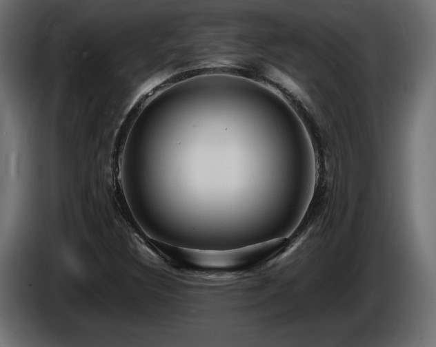 X0000086731308200704131057