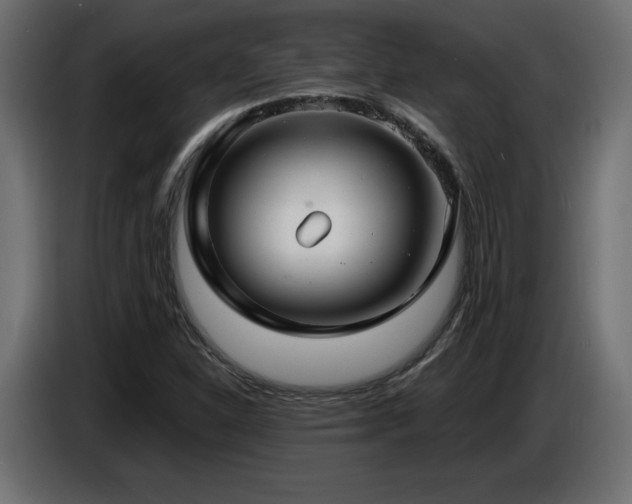 X0000086731310200704131058