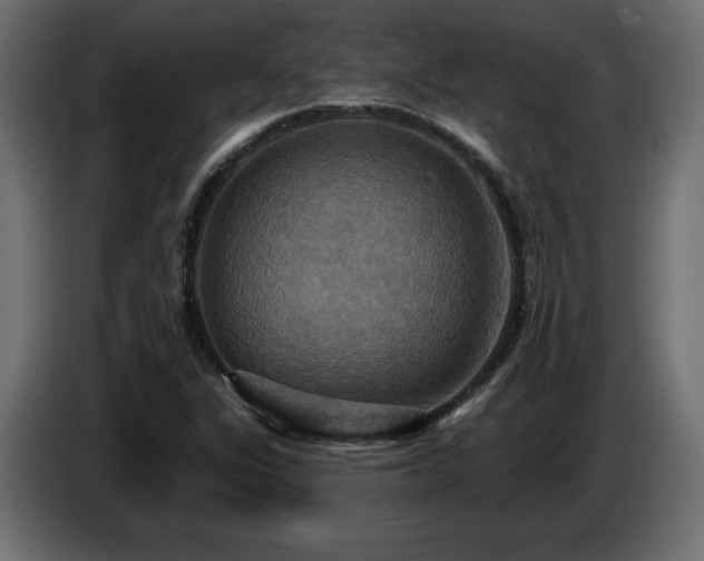 X0000086731311200704131058