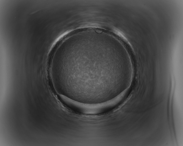 X0000086731312200704131058