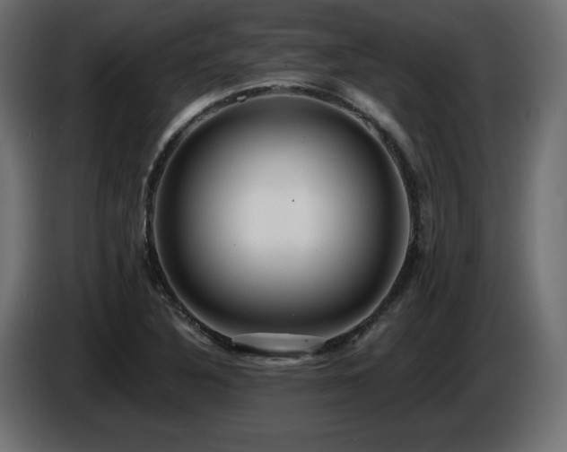 X0000086731316200704131058