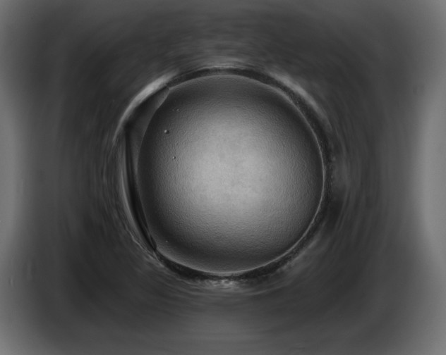 X0000086731317200704131058
