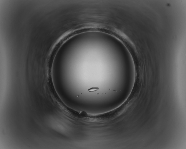 X0000086731318200704131058