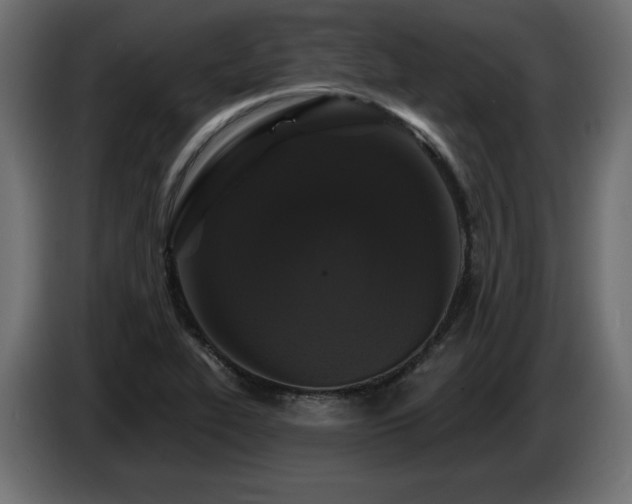 X0000086731319200704131058
