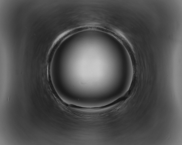 X0000086731320200704131058