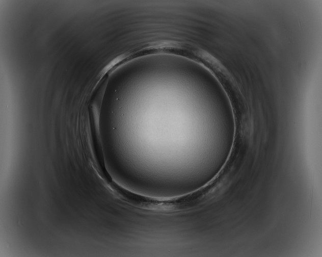X0000086731321200704131058