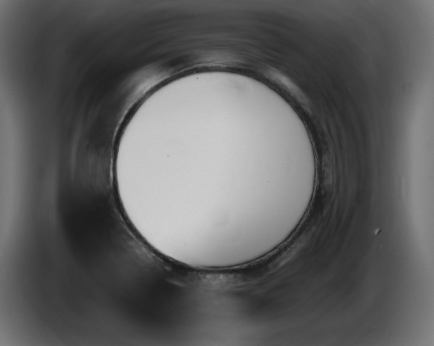 X0000086731322200704131058
