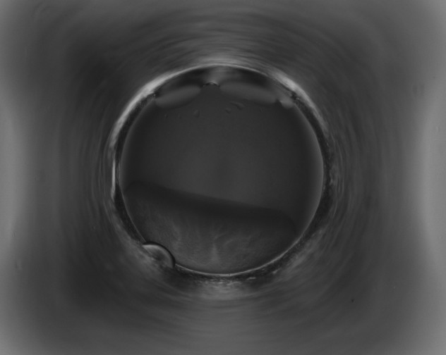 X0000086731323200704131058