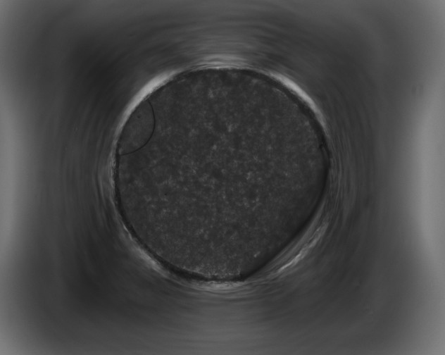 X0000086731325200704131058