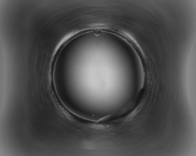 X0000086731328200704131058