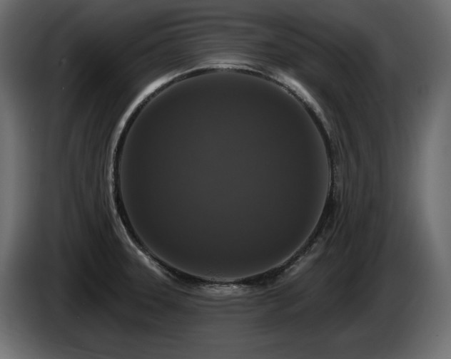 X0000086731331200704131058