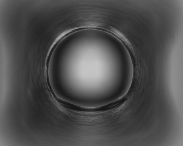 X0000086731332200704131058