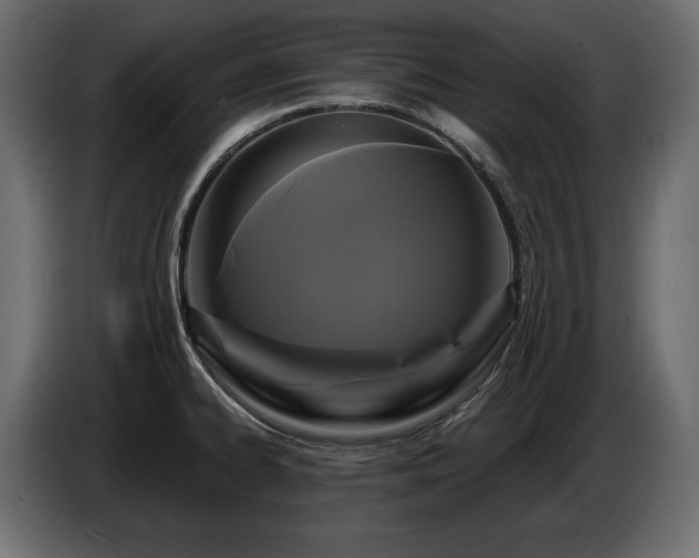 X0000086731334200704131058