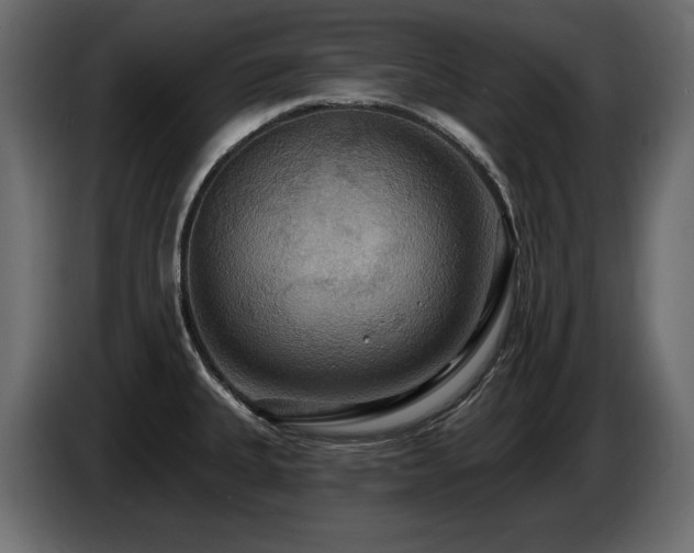 X0000086731335200704131058