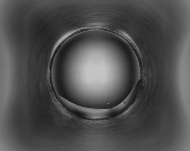 X0000086731336200704131058