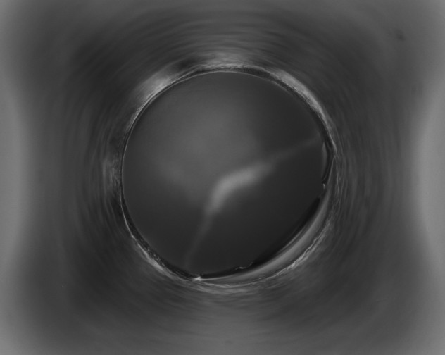 X0000086731337200704131058