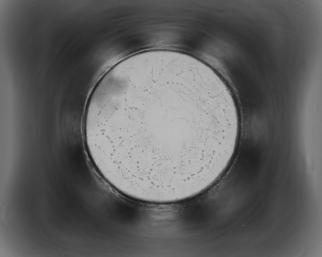 X0000086731338200704131058