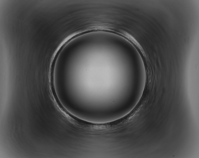 X0000086731339200704131058