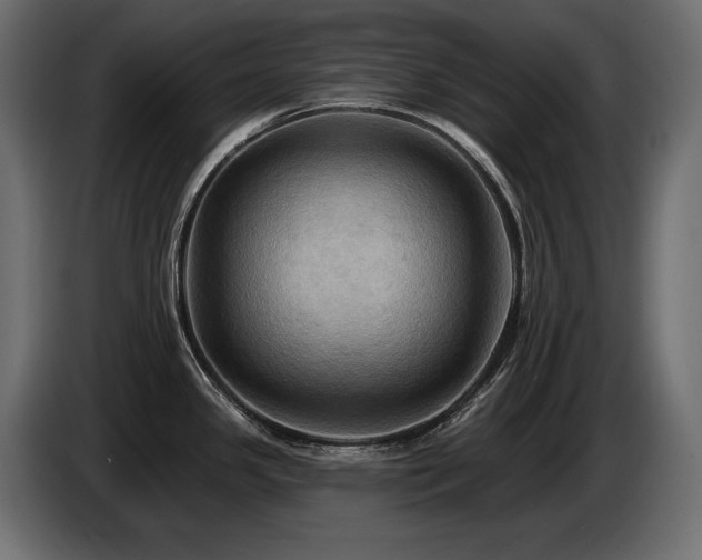 X0000086731341200704131058