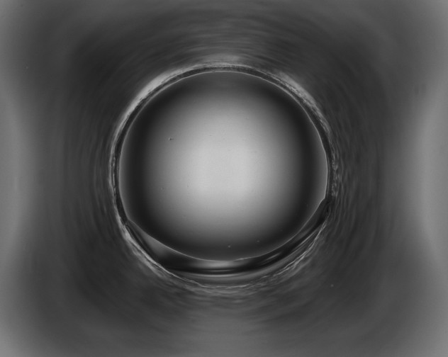 X0000086731342200704131058