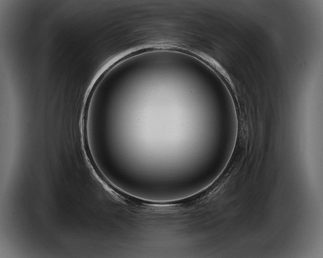 X0000086731343200704131058