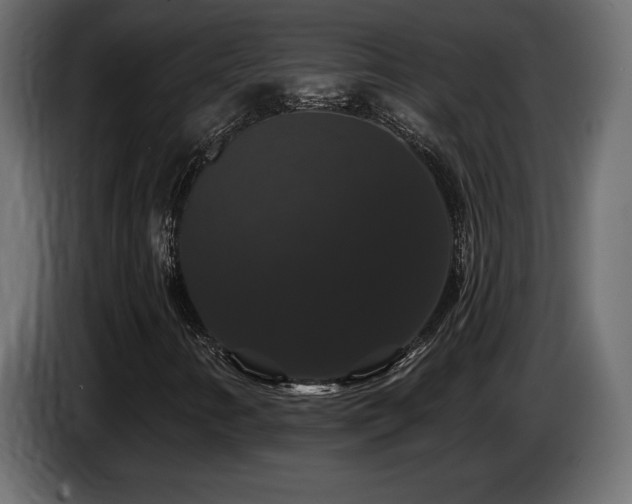 X0000086731346200704131057
