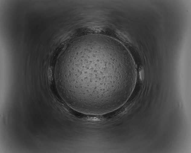 X0000086731347200704131057