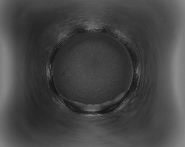 X0000086731348200704131057