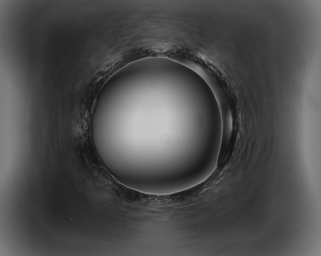 X0000086731349200704131057