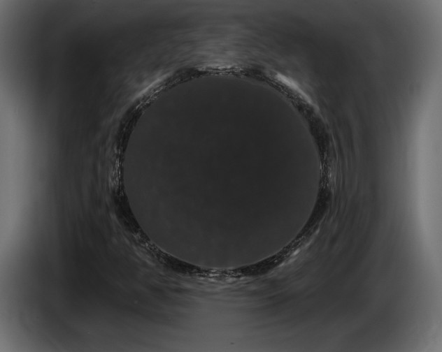 X0000086731350200704131057