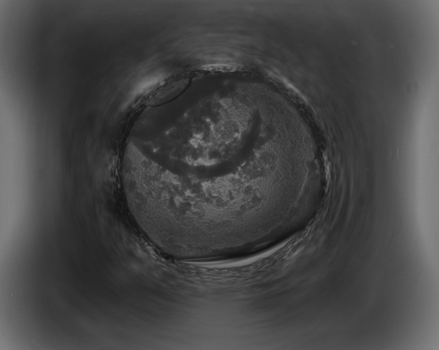 X0000086731351200704131057