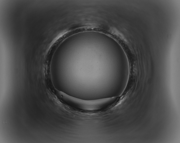 X0000086731352200704131057