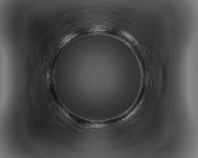 X0000086731353200704131057