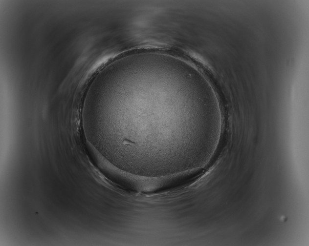 X0000086731355200704131057