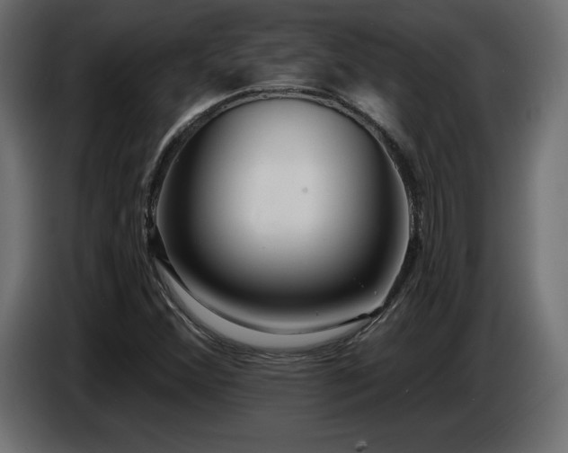 X0000086731356200704131057