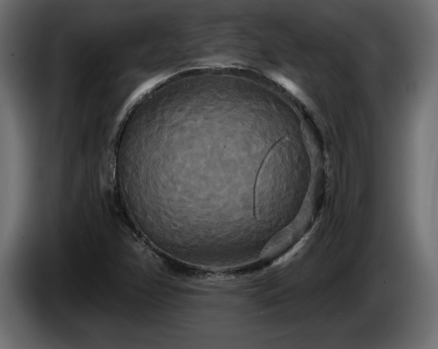 X0000086731358200704131057