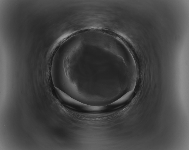 X0000086731359200704131057