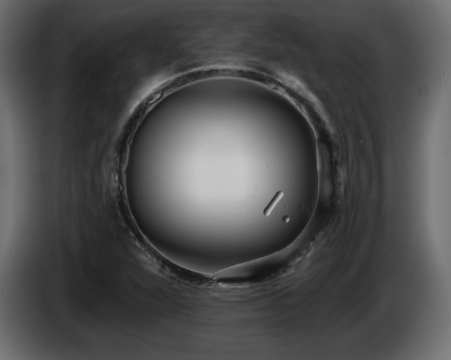 X0000086731360200704131057