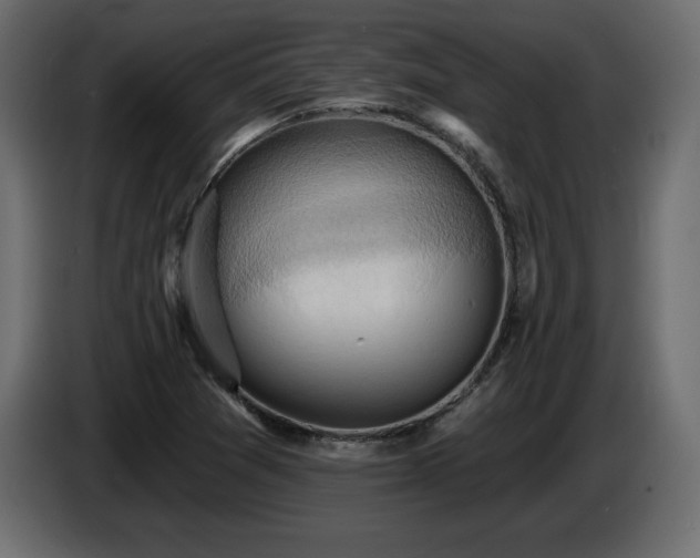 X0000086731361200704131057