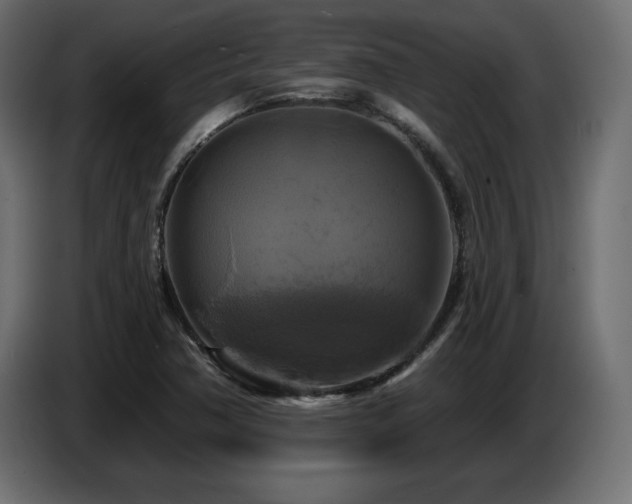 X0000086731362200704131057