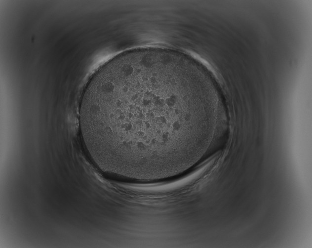 X0000086731363200704131057